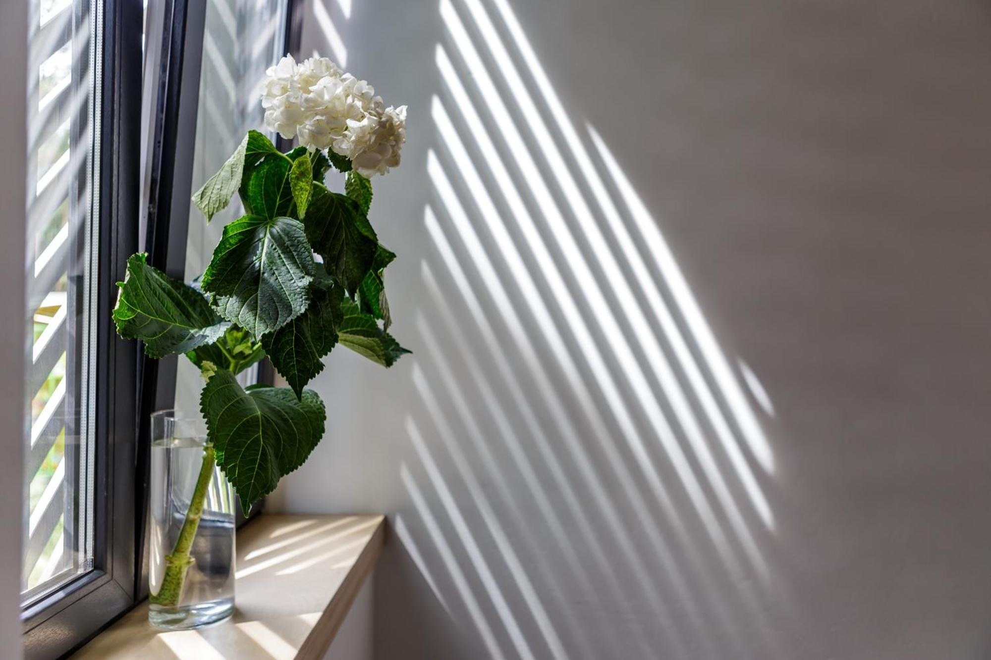Melt In Palanga Apartment Exterior photo